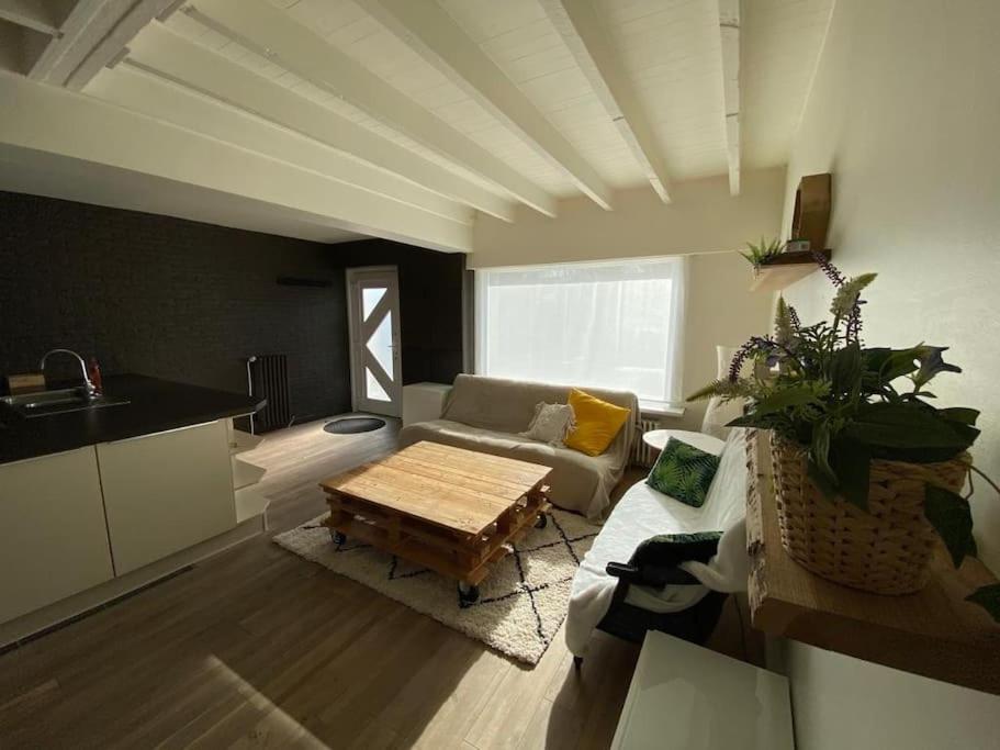 Vila Cosy Beachhouse Within Walking Distance Of The Sea De Haan Exteriér fotografie
